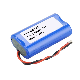 18650 Lithium Battery 2s1p 7.4V 2200mAh Rechargeable Battery Pack manufacturer