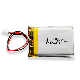 Rechargeable Battery Li Ion 603450 3.7V 1000mAh with Jst Connector for GPS manufacturer