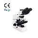  Professional LED Seidentopf Binocular Biological Microscope and Upgrade Available for Labratory