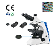 1000X Student Microscope with Amscope Trinocular Microscope for Hot