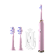 Wholesale Low Price Waterproof Battery Power Rechargeable Electric Ultrasonic Toothbrush manufacturer