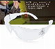 CE/ANSI Standard Safety Glasses 012