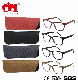 Stylish Plastic Reading Glasses with Matching Color Pouch (WRP902012)
