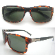 New Arrived Stylish Design PC Sun Glasses with CE Certificate