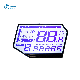 Irregular Shape Segment LCD Display