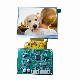  4.3 Inch LCD Driver Module with Controller Board for Video Doorbell