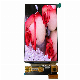  Multi-Purpose Amoled/OLED Display with Touch Screen and Full-Color 5.44-Inch Size