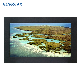  43 Inch Multimedia Full HD LCD Display