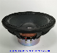  12 Inch Neodymium Professional Sound PRO Audio Woofer PA Line Array Speaker