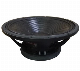 Professional 18 Inch Acoustic Speakers 800W RMS Subwoofer