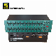 Professional Dual 30-Band Graphic Equalizer Audio (FCS 966)