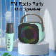 Newest Wireless Portable Bluetooth Mini Karaoke Speaker and Microphone manufacturer