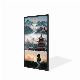 43 Inch Indoor Touch Screen LCD Display with Android OS for Office manufacturer