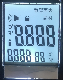 Tn Small Segment LCD Display with Backlight for Forehead Thermometer