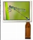  3.5 Inch LCD Display LCD Screen LCD Module Panel