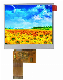 Golden Vision 5 Inch 800X480 TFT Panel