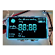  Customizable Tn Htn Stn FSTN Va 7 Segment LCD Screen Graphic Cog LCD Display