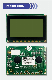  12864 Graphic Cog LCD Display for Handhold Equipment