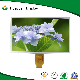 7 Inch Panel TFT LCD Module Display Without Touch Screen