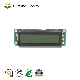  Typical Character LCD Module Winstar Wg1602A Monochrome LCD Display 16X2 Bw
