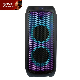 Feiyang Hot Selling DJ Double 8 Inch Outdoor Wireless Speaker