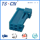 Tscn Automotive Cable Wire Harness Female Plug Terminal Speaker Connector Tslb39-02p-21-4