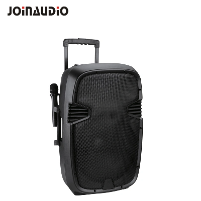 Portable Trolley Speaker Box 15" 2-Way with VHF Wireless Microphones & Rechargeable Battery