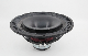 Carbon Cone Coaxial Speaker Driver 15 Inch DJ Equipment