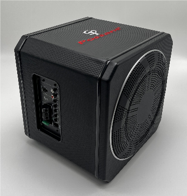 10" Digital Active Car Subwoofer with Bass Re-Flex Subwoofer