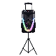 15 Inch Woofer Sound Box Portable Active Karaoke Loud Speaker