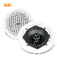 Good Quality 30W PA Ceiling Bluetooth WiFi Speaker with Tweeter (LTH-8316)