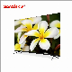 32 43 49 50 55 Inch Wholesale Android Smart LED TV