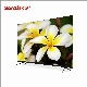 32 43 49 50 55 Inch Wholesale Android Smart LED TV