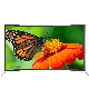 Television Factory 49 50 55 58 Inch 4K Curved Screen LED TV