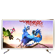 32 40 42 55 Inch Smart LED TV Television