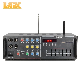 Double Channels 9 Equalizer Professional Karaoke Mixer Amplifier manufacturer