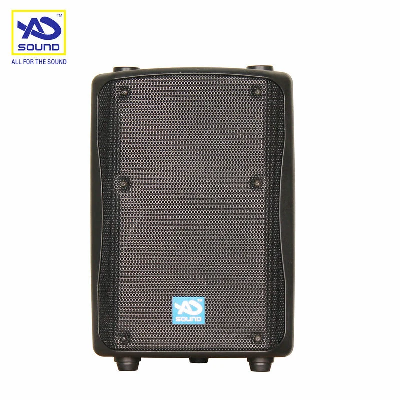 Zx1I-90 EV Style Speaker 8"Indoor Outdoor Speaker