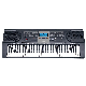 61-Key Piano Keyboard with LCD Display