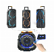 Cheap Price Private Model Portable Trolley Speakers Home Theatre System