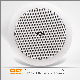 2019 New 20W PRO Active Bluetooth Ceiling Speakers