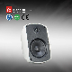  Waterproof Outdoor Indoor Shopping Mall Piazza Speaker