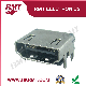 HDMI Connector (HD23-0231-161011)