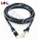 Rj48 Rj50 10p10c Cat5e UTP STP Ethernet Patch Cable