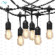 12 Volt LED Outdoor String Lights with Hanging Sockets.