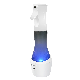 New Product Hot Sale Fashion Smart Spray Can Pet Disinfection Ozone Sterilizer Sprayer manufacturer