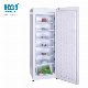 Upright Freezer Single Door Drawer Freezer Refrigerator Model: Bd-310b