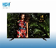 42 Inch Digital System Smart TV SKD CKD Good Quality Hgt-416