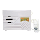 Wall Mounted Ozone Air Purifier Ozone Air Purifier Ionizer and Deodorizer Ozone Generator Ozone Air Purifier manufacturer