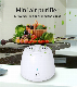 USB Rechargeable Refrigerator Purifier Portable Air Deodorizer manufacturer