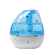 RoHS CE GS Air Ultrasonic Humidifier 2L Mist Maker for Home Plants Bedroom